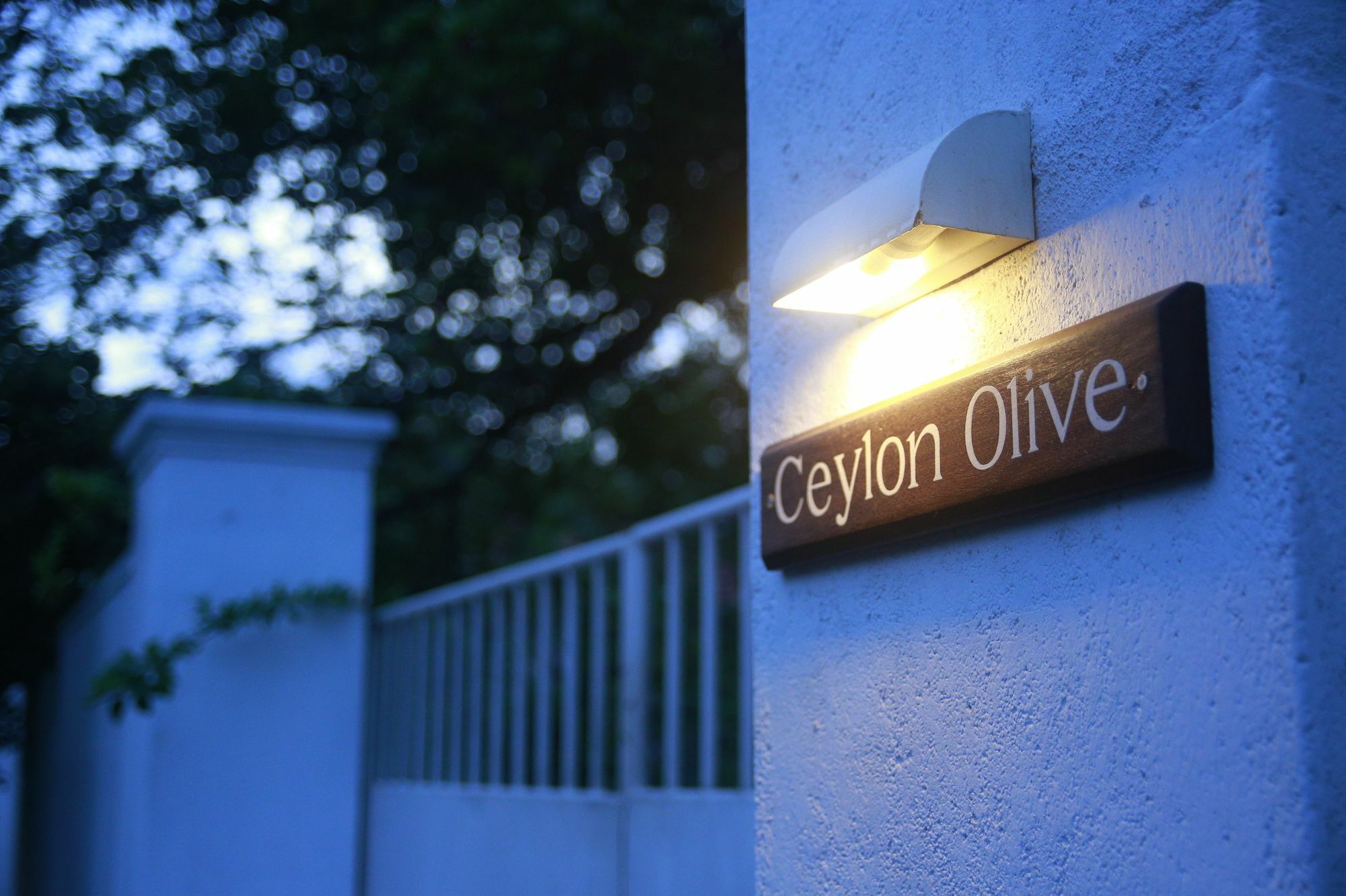 Ceylon Olive Galle Otel Dış mekan fotoğraf